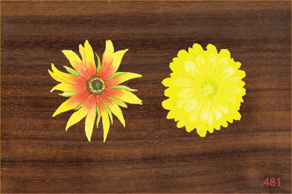 Download Hand  Painted  Watercolor Flower Design - Premium Bundle