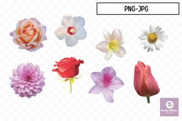 Download Real Pretty Flowers Set 01 - Pretty flowers Collection